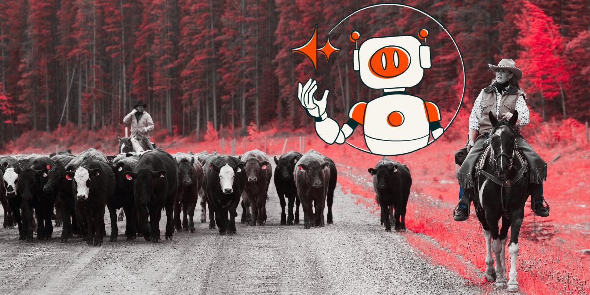 HubSpot Expert Roundup: The 2025 Updates You Shouldn’t Miss